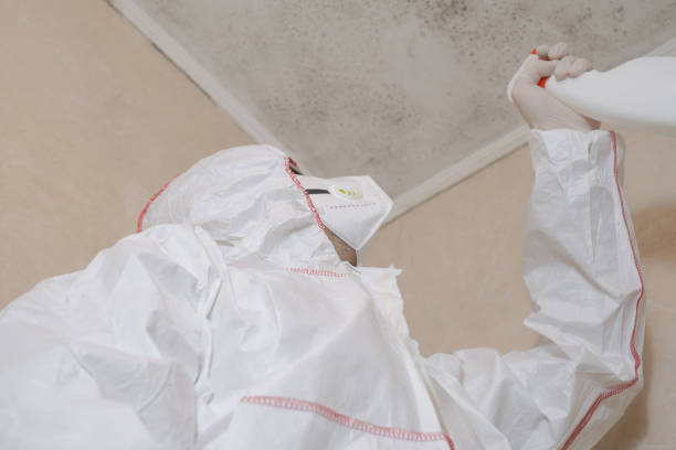 Best Commercial Mold Removal  in East Ridge, TN